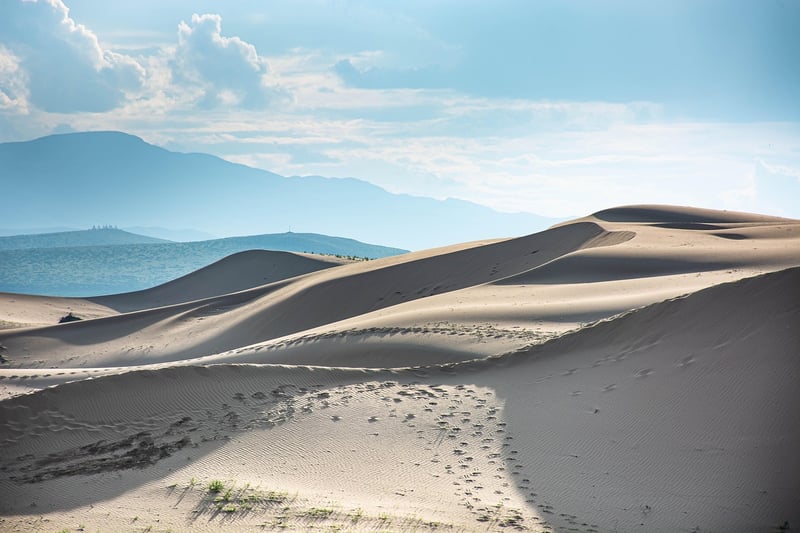 Gobi Desert